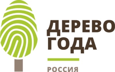 Деревья – памятники живой природы