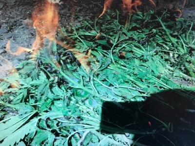 Совместные рейды