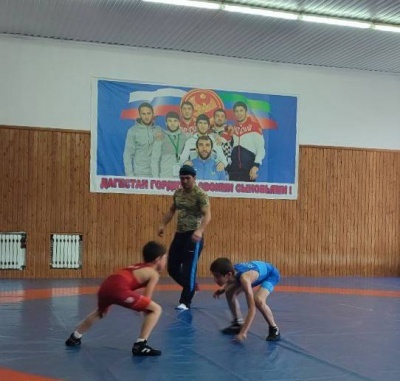 Турнир по вольной борьбе среди школьников