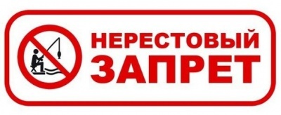 Запрет на любительскую рыбалку