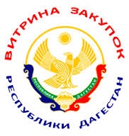 В Республике Дагестан начал функционировать информационный портал 